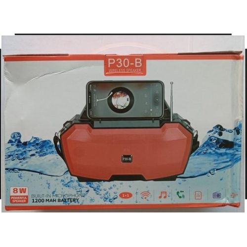 Rechargeable FM/SD Radio Wireless Speaker P30 SUN