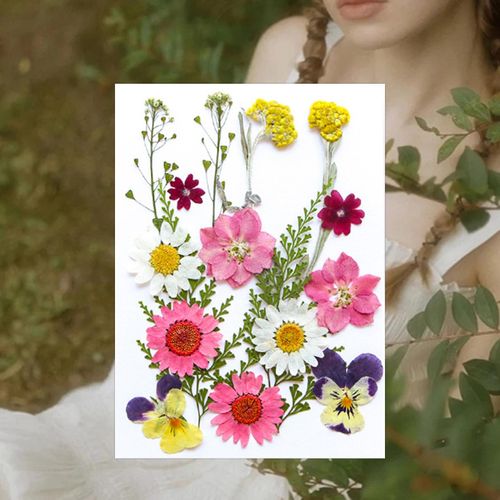 Dried Pressed Flowers Craft Making Candle DIY Mix Colors