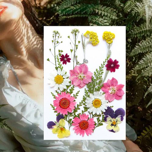 Dried Pressed Flowers Craft Making Candle DIY Mix Colors