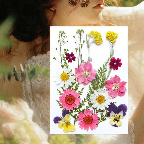Dried Pressed Flowers Craft Making Candle DIY Mix Colors