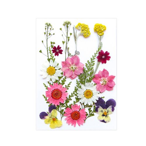 Dried Pressed Flowers Craft Making Candle DIY Mix Colors
