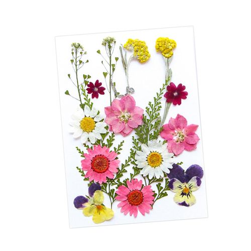 Dried Pressed Flowers Craft Making Candle DIY Mix Colors