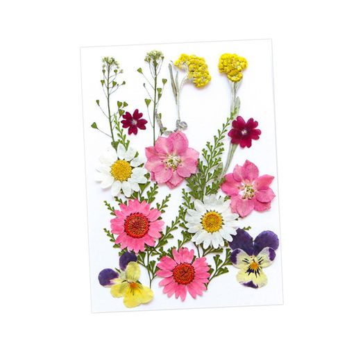 Dried Pressed Flowers Craft Making Candle DIY Mix Colors
