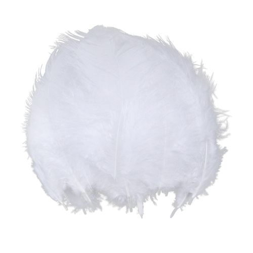 100pcs Feathers DIY Balloon Art Craft Dreamcatcher Wedding Party White