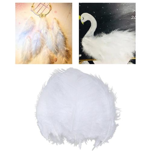 100pcs Feathers DIY Balloon Art Craft Dreamcatcher Wedding Party White