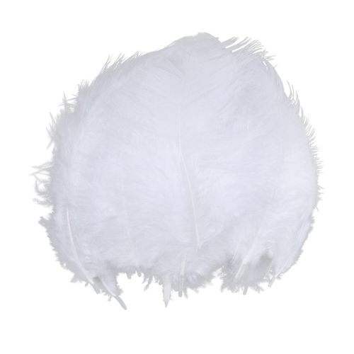 100pcs Feathers DIY Balloon Art Craft Dreamcatcher Wedding Party White