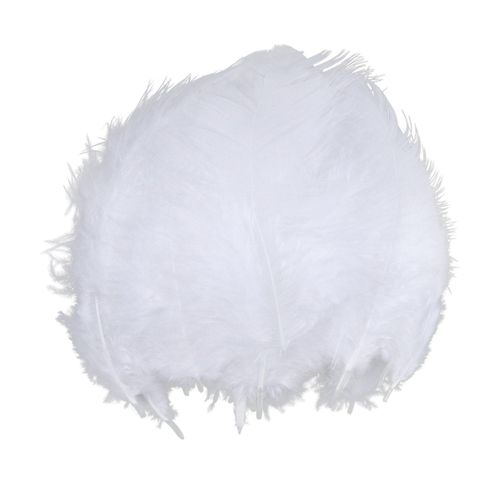 100pcs Feathers DIY Balloon Art Craft Dreamcatcher Wedding Party White