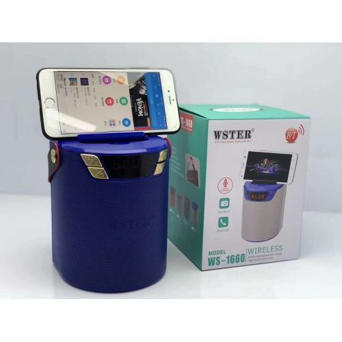 Wster WS-1660 Wireless Portable FM Radio Speaker - Blue