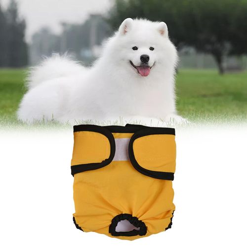 Female Dogs Physiological Pant Comfortable Reusable S