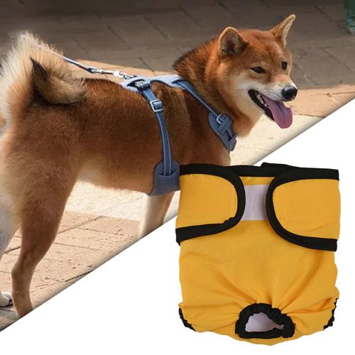 Female Dogs Physiological Pant Comfortable Reusable S