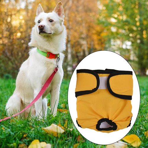 Female Dogs Physiological Pant Comfortable Reusable S