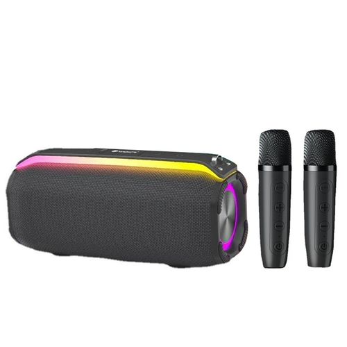 RiXing NR8809 20W Outdoor Portable Smart Bluetooth Speaker Style:Dual Mic(Grey)