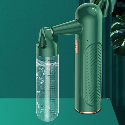 Portable Electric Handheld Steam  Face Steamer  green