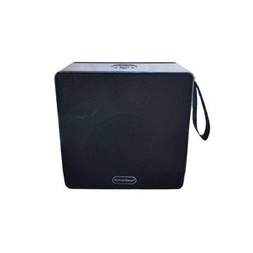 BoomBest Powerful Bluetooth Wireless Speaker With Radio - Colour&Design May Vary