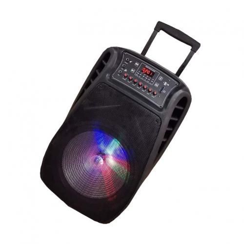 AILIPU Rechargeable Powered Dj & PA Speaker, Bluetooth, USB/SD, FM Radio, 1 Wireless Microphone - Black