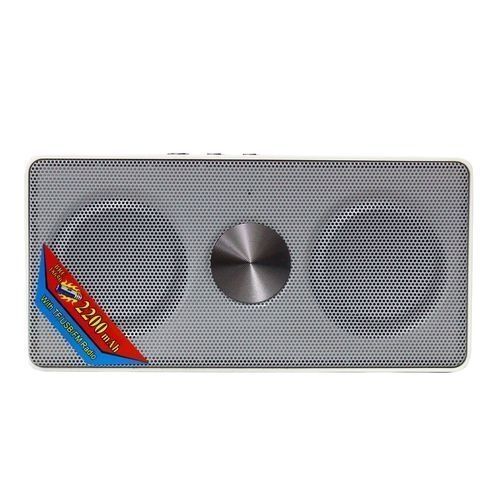Wster Mini Speaker Mini Speaker, With FM Radio, Micro SD, USB - White