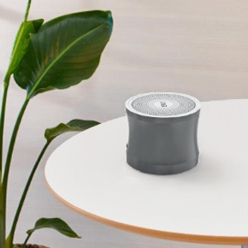 Mini Bluetooth Speaker With Bass Radiator- Silver