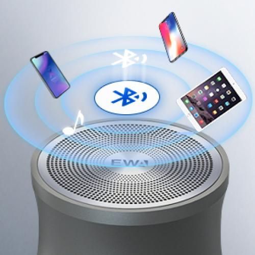 Mini Bluetooth Speaker With Bass Radiator- Silver