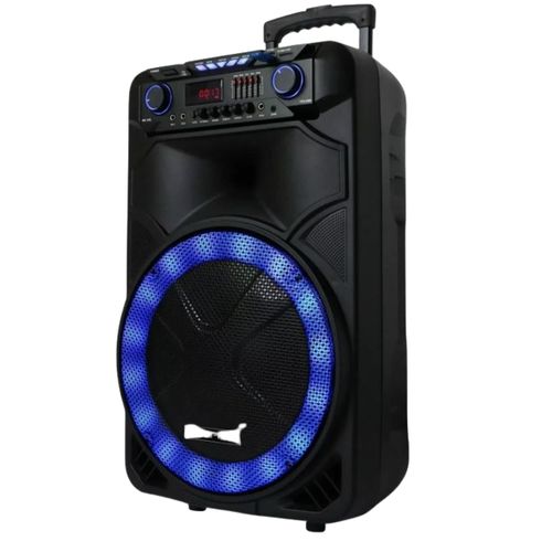 Smartplus 15 Inch High Power Rechargeable Multimedia Speaker - Black