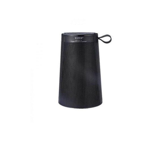 Wster Wireless Portable FM Radio Speaker - Black