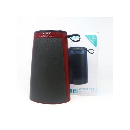 Wster Wireless Portable FM Radio Speaker - Black