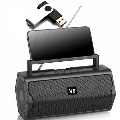 Pack Of Portable Bluetooth Speaker And 16GB Flash Disk-Black