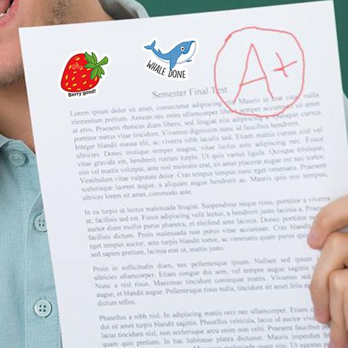 80Pcs Teacher Reward Sticker Punny Teacher Stickers For Students Random Color