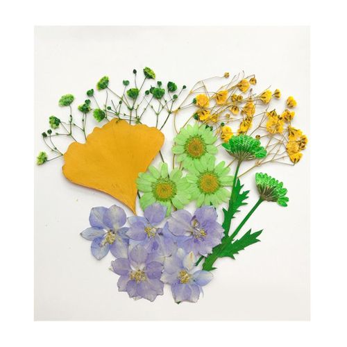 13/14/15x Real Press Dried Flowers Leaves For DIY Epoxy Resin A