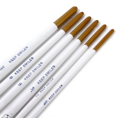 Professional Set 6pcs Acrylic Oil Watercolors Paint