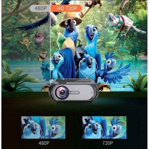 Max 250 