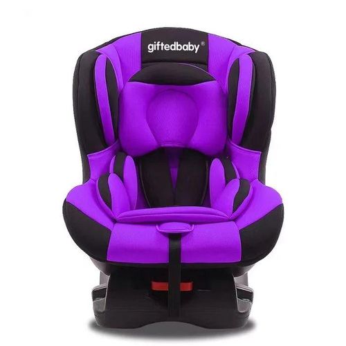 Baby Car Sit-Purple, Color Varies