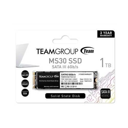 TEAM MS30 1TB M.2 SATA SSD M2 CHIP