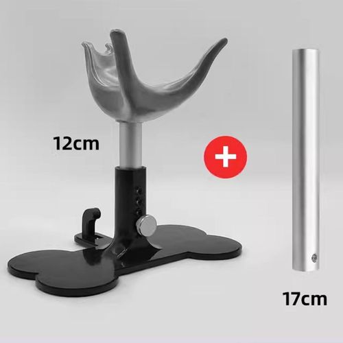 Dog Assisted Standing Support Assistive Standing For Grey