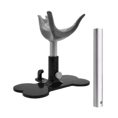 Dog Assisted Standing Support Assistive Standing For Grey