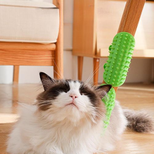 2 Pieces Tickling Comb Pet Brushes Self