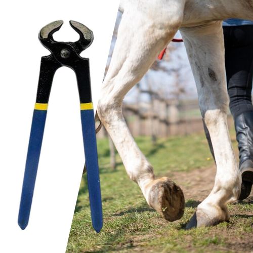 Hoof Trimmer Horse Farrier Tool Easy To Use Multipurpose
