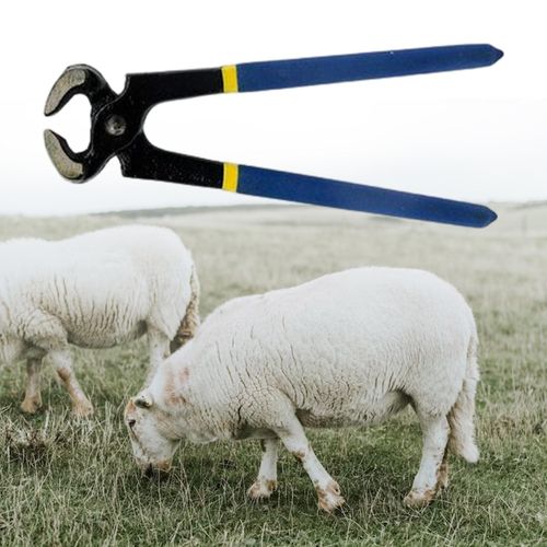 Hoof Trimmer Horse Farrier Tool Easy To Use Multipurpose