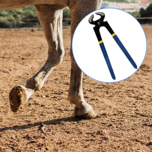 Hoof Trimmer Horse Farrier Tool Easy To Use Multipurpose