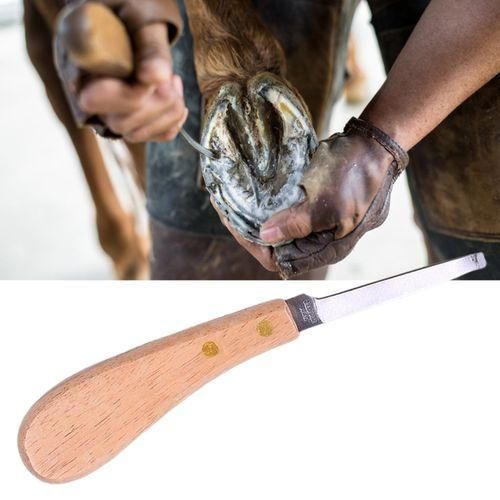 Cattle Hoof Cutter Hoof Trimmer Hoof  For Livestock Right Hand
