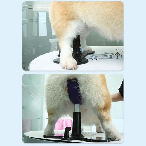 Dog Auxiliary Standing Bracket Seat Pet Bench For Pet Grey