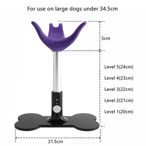Fixed Dog Seat Adjustable Pet Bench For Pet Grooming