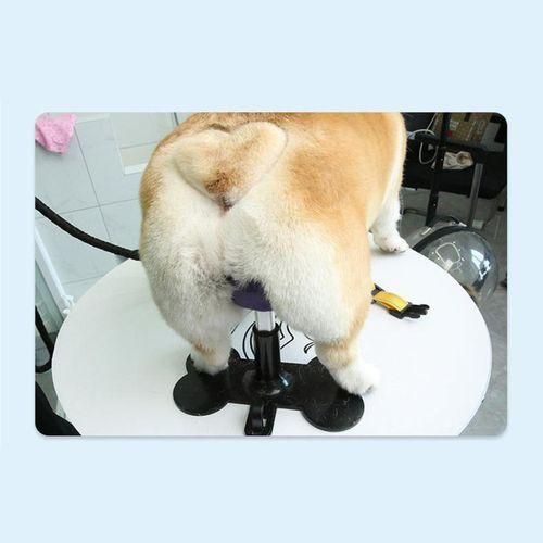 Fixed Dog Seat Soft Pet Stand Support For Pet Grooming