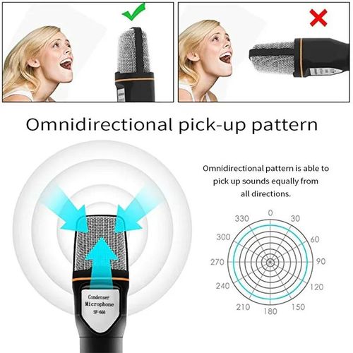 SF-666 microphone karaoke computer microphone 3.5mm with foldable tripod portable wired microphone Black White for PC