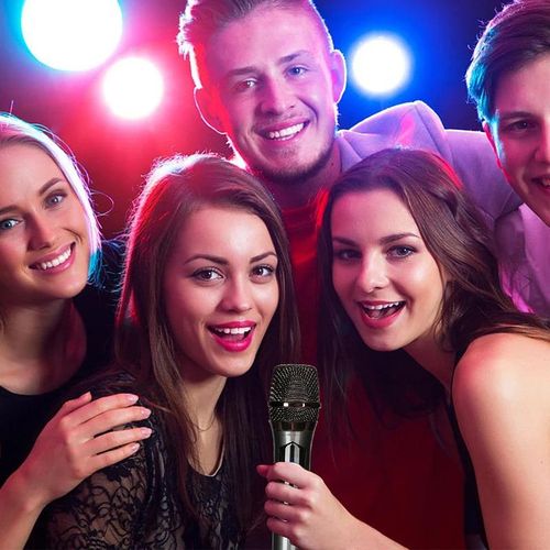 2 s wireless microphone UHF professional mic micphone for party karaoke professional Church show meeting