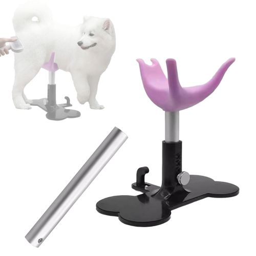 Dog Assisted Standing Support Comfortable Pet Supplies