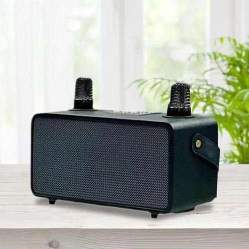 Stable Performance Powerful Subwoofer For Picnic