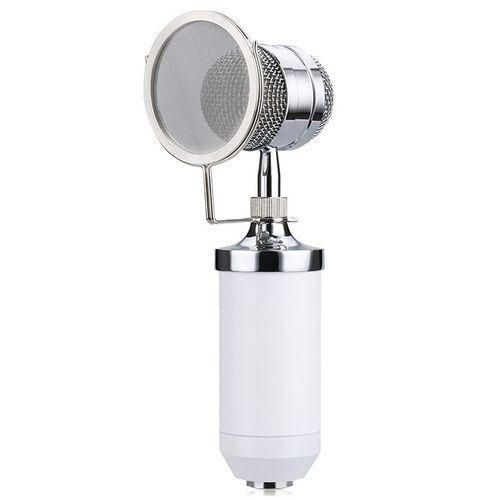 Professional Sound Studio Recording Condenser Microphone  W