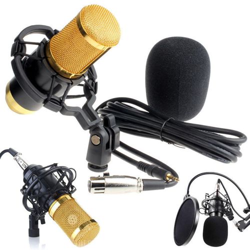 Pro Audio BM800 Microphone Sound Studio Recording Dynamic-