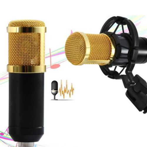 Pro Audio BM800 Microphone Sound Studio Recording Dynamic-