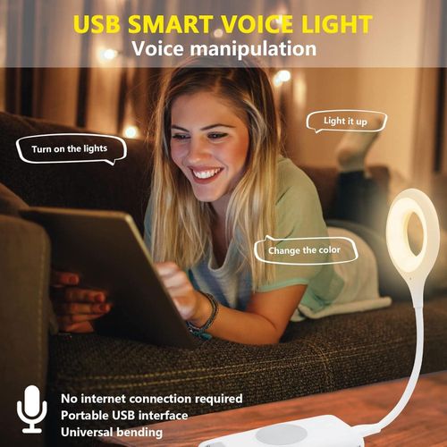 Usb Voice  Smart Light